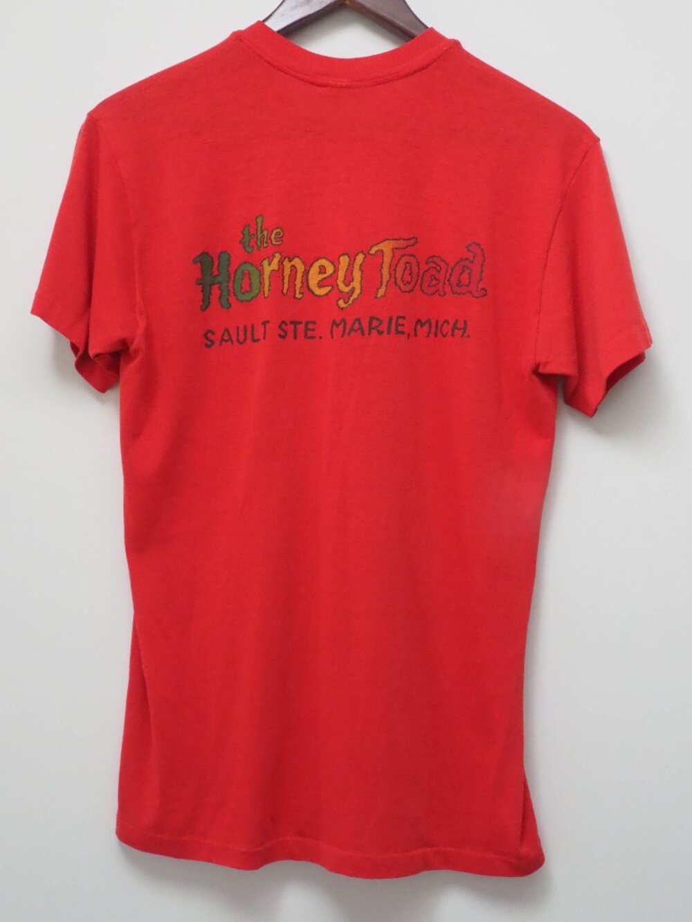 Vtg Horney Toad Tshirt - Vtg Michigan Souvenir Tee - Thin - Single Stitch Large